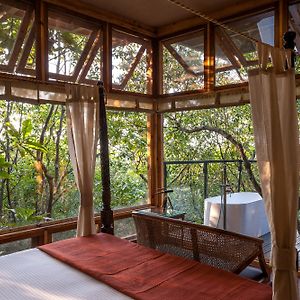 Suite de Luxe Lit King-Size